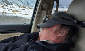 Too much excitement for Gordon